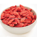 NingXia 280 Quality Bulk Dried Wolfberry Low Price